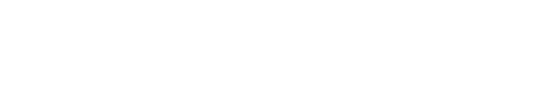 Li-Metal